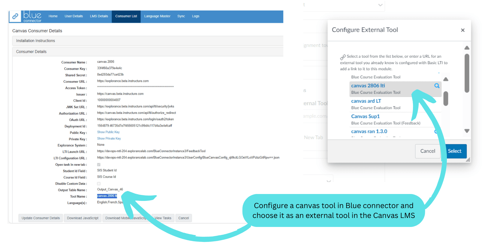 Extenal tool in Canvas