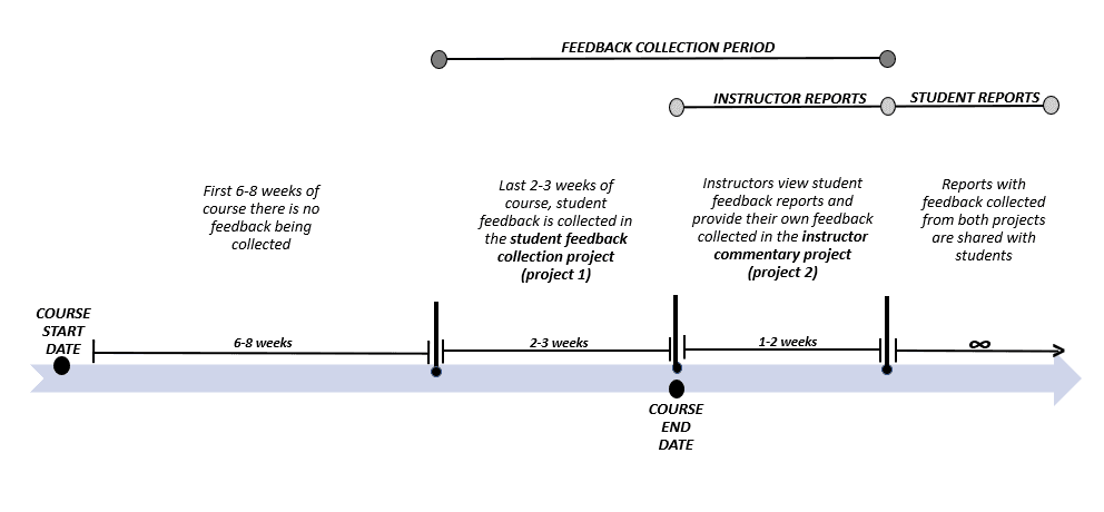 Feedback Loop Timeline